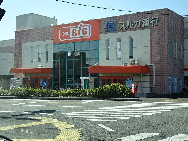 ザ・ビック　金谷店まで1000m
