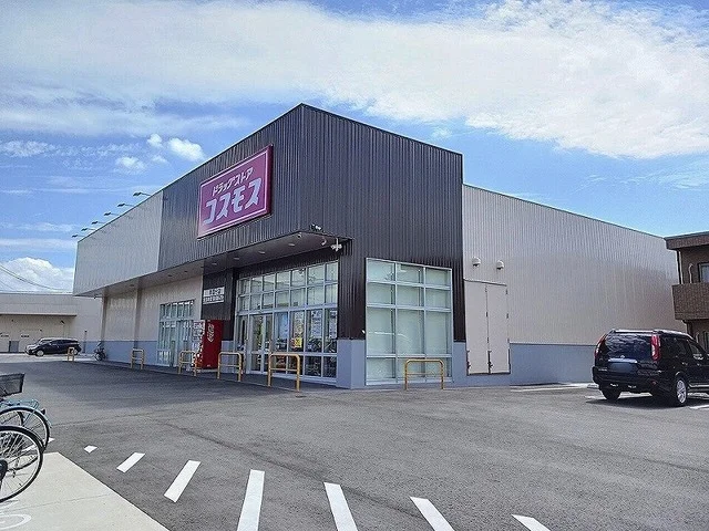 ドラッグストアコスモス東国分店まで600m