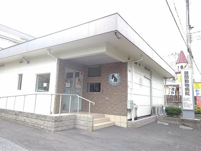 勝間動物病院まで700m