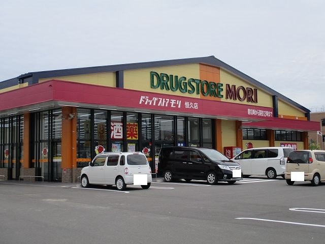 ドラッグストアモリ恒久店まで1100m