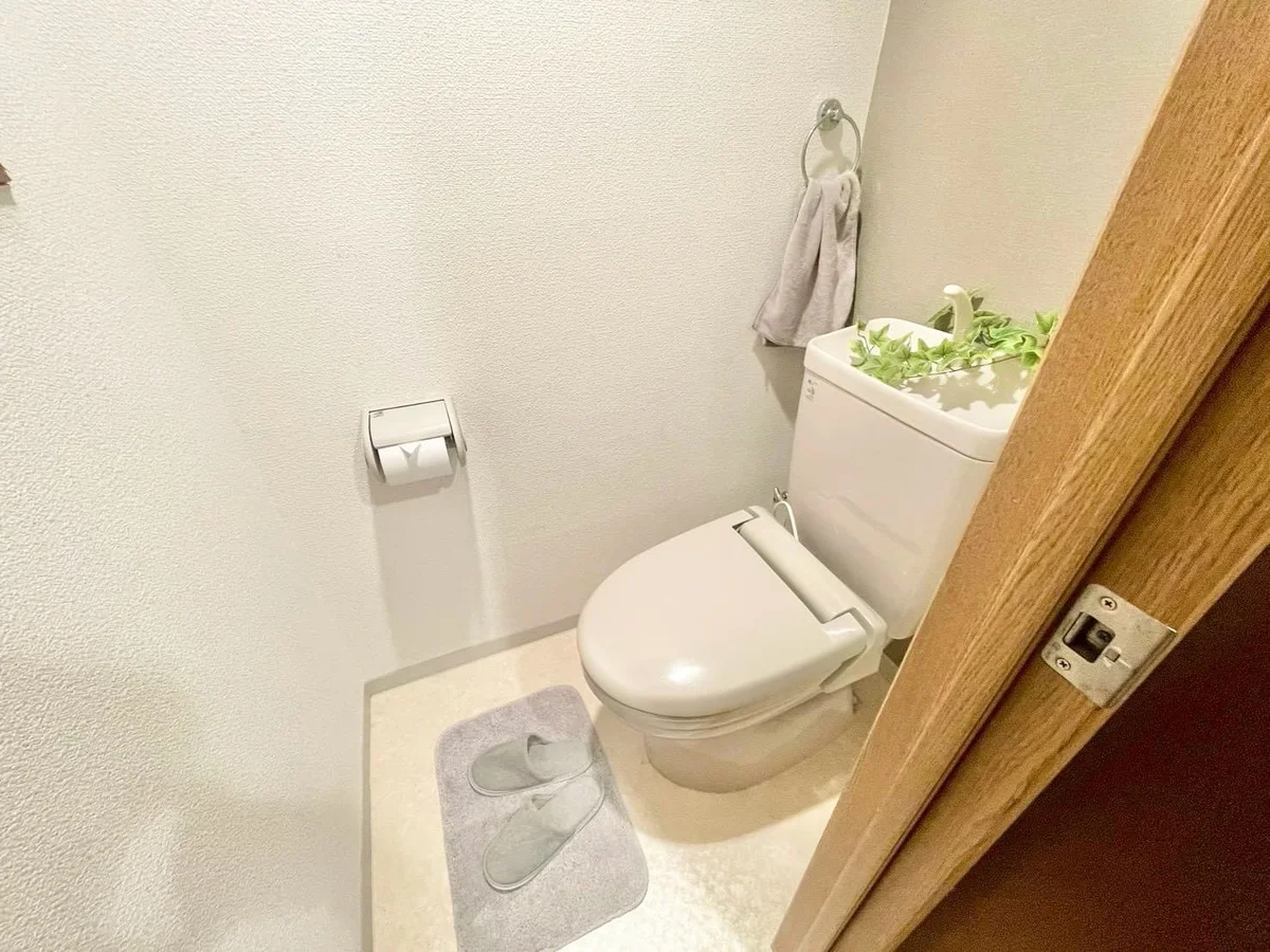 ※撮影用の観察植物・食器調理器具・雑貨類等はございません。※写真は現況優先