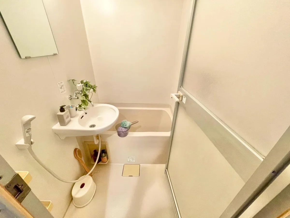 ※撮影用の観察植物・食器調理器具・雑貨類等はございません。※写真は現況優先