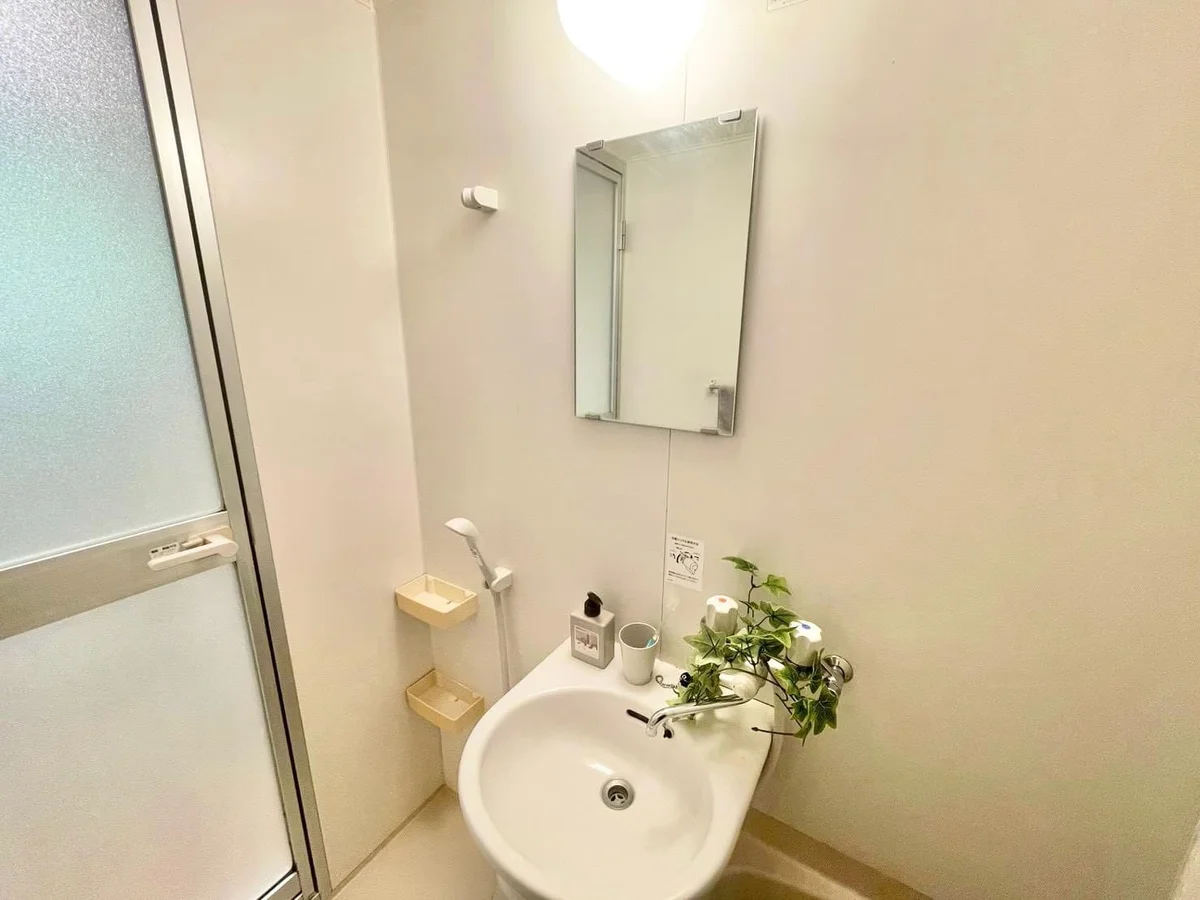 ※撮影用の観察植物・食器調理器具・雑貨類等はございません。※写真は現況優先