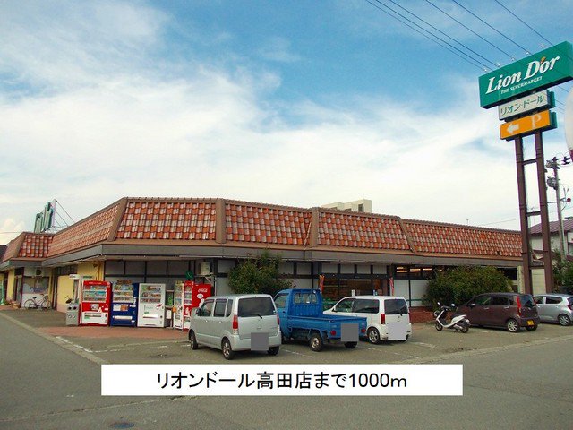 リオンドール高田店まで1000m
