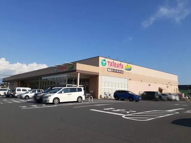 ＴＡＩＲＡＹＡまで1200m
