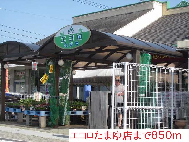 エコロたまゆ店まで850m