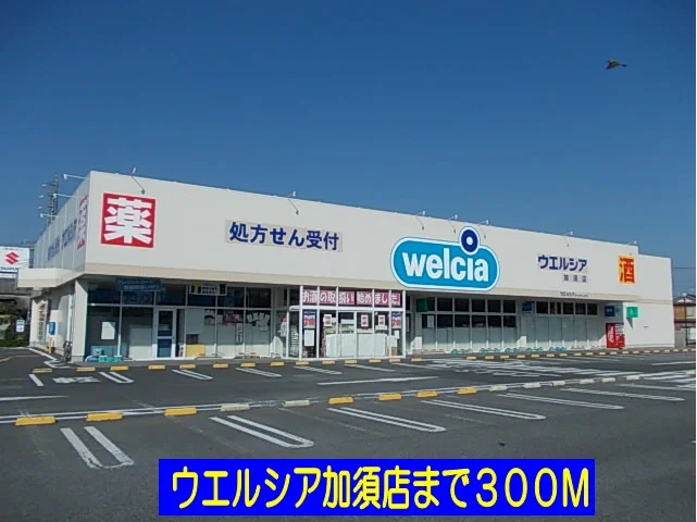 ウエルシア加須店まで300m