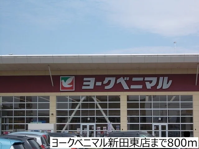ヨークベニマル新田東店まで800m