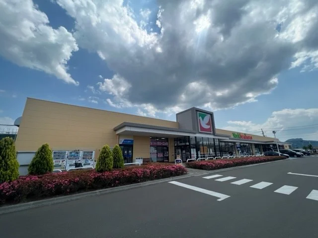 ヨークベニマル富沢西店まで700m
