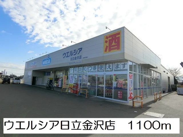 ウエルシア日立金沢店まで1100m