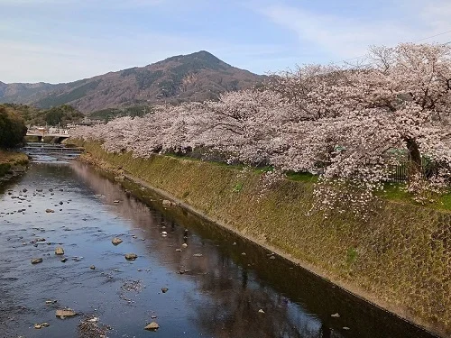 鴨川まで100m