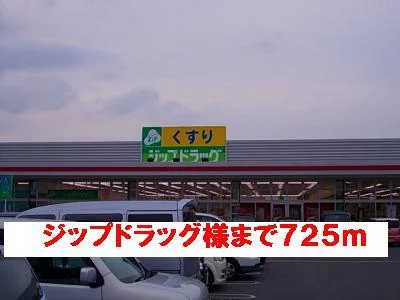 ジップドラッグ様まで725m