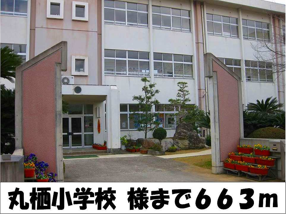 丸栖小学校　様まで663m