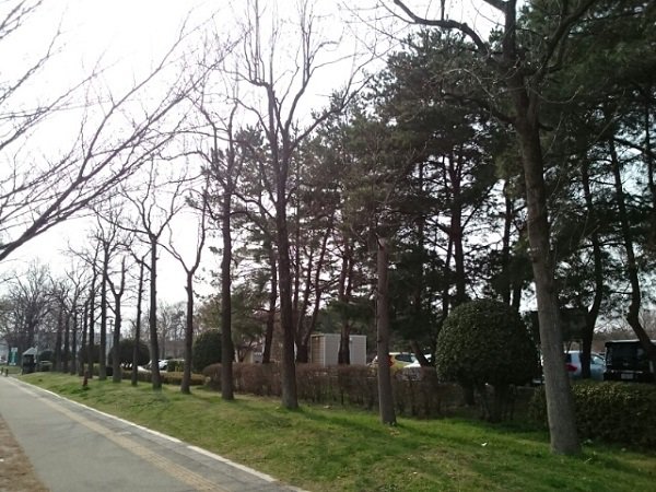 亀田公園まで1400m