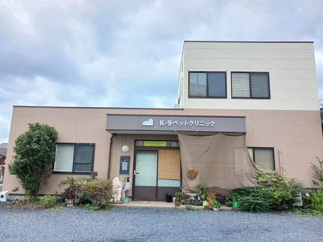 Ｋ－９ペットクリニックまで600m