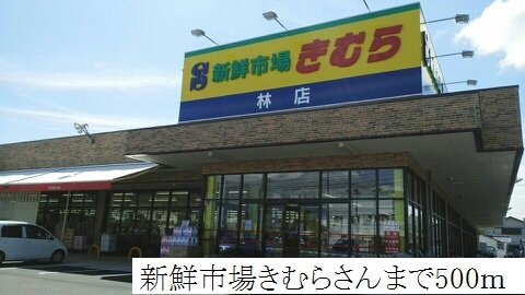きむらまで500m