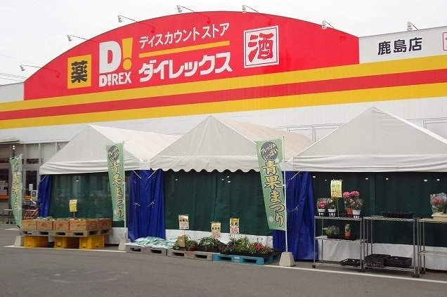 ダイレックス鹿島店まで1300m