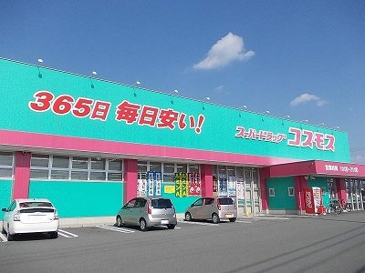 コスモス藍住店様まで1800m