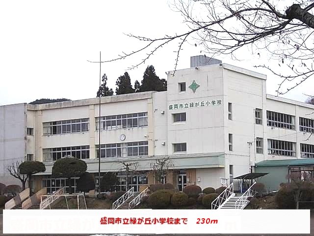 盛岡市立緑が丘小学校まで230m