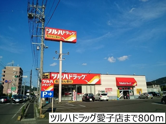 ツルハドラッグ愛子店まで800m
