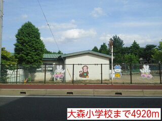 大森小学校まで4920m