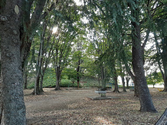 八幡山公園まで1200m