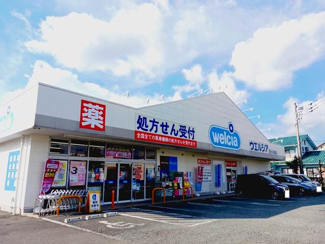 ウエルシア富士川成島店まで1500m
