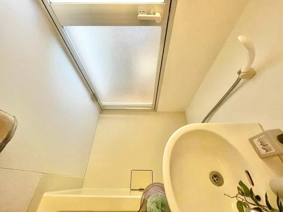 ※撮影用の観察植物・食器調理器具・雑貨類等はございません。※写真は現況優先