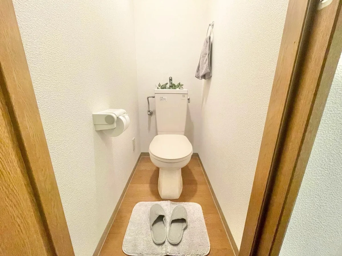 ※撮影用の観察植物・食器調理器具・雑貨類等はございません。※写真は現況優先