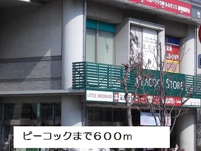 大丸ピーコックまで600m