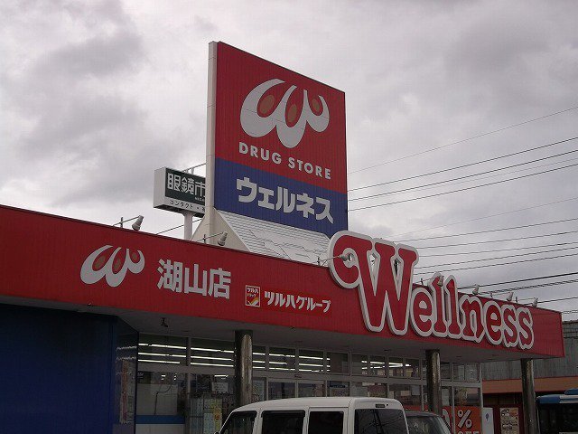 ウェルネス 湖山店まで650m