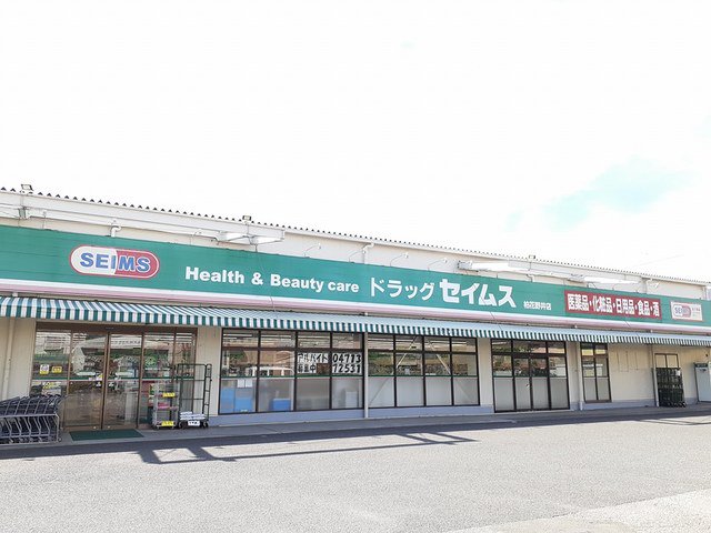 セイムス柏花野井店まで1274m