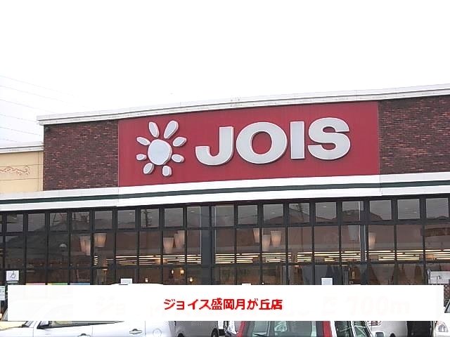 ジョイス盛岡月ヶ丘店まで700m