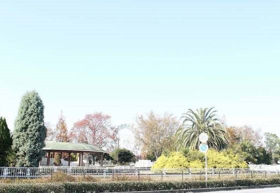 堀内公園まで5000m