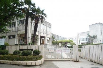大沢小学校まで350m