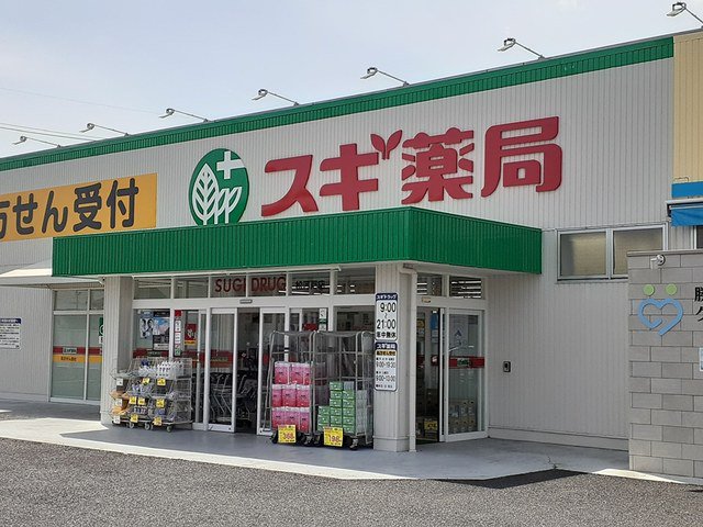 スギドラッグ松河戸店まで650m