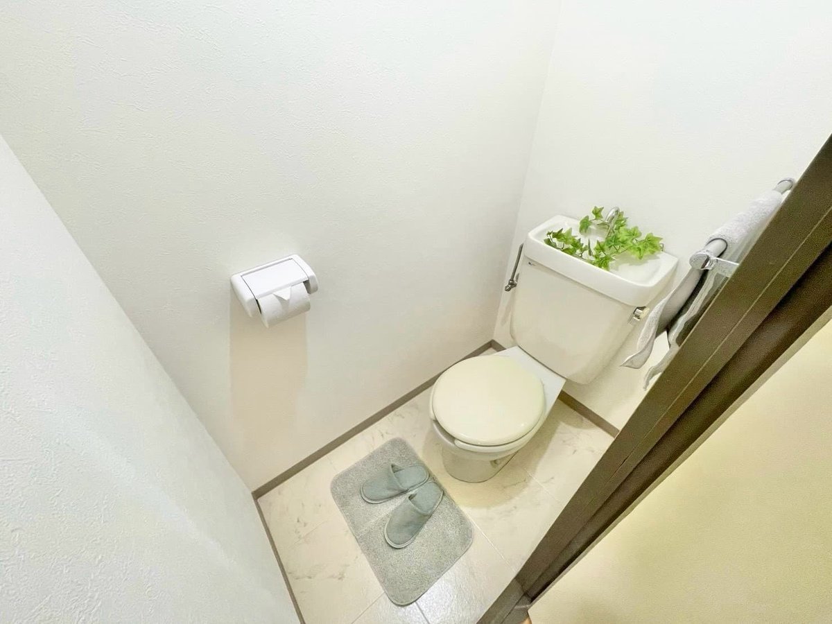 ※撮影用の観察植物・食器調理器具・雑貨類等はございません。※写真は現況優先
