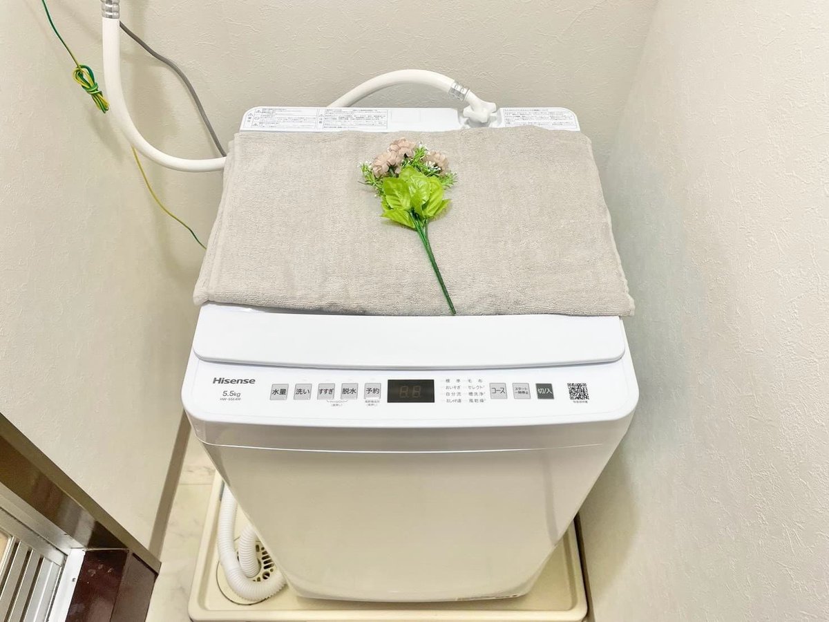 ※撮影用の観察植物・食器調理器具・雑貨類等はございません。※写真は現況優先