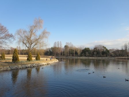 洞峰公園まで1200m