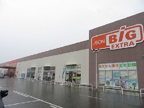ザ・ビッグ氷上店まで1200m