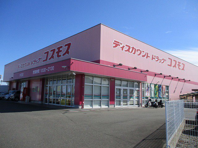 コスモス木花店まで1100m