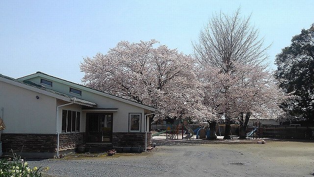 府中幼稚園まで700m