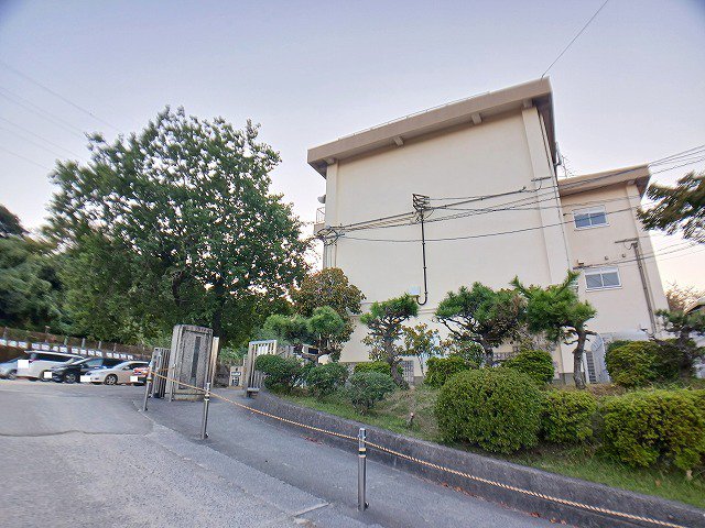桃園小学校まで750m