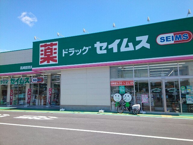 セイムス高崎群馬町店まで1100m