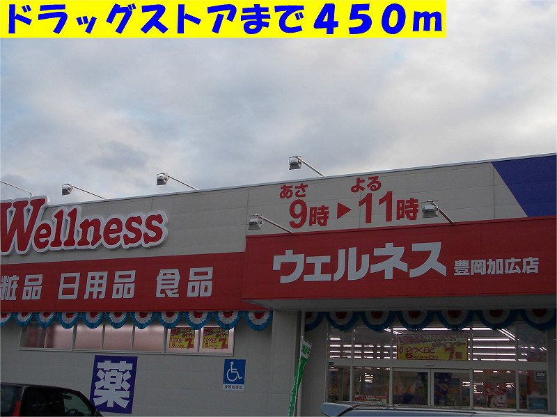 ウェルネス豊岡加広店まで450m