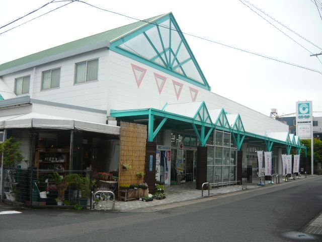 コープ谷山店まで1800m