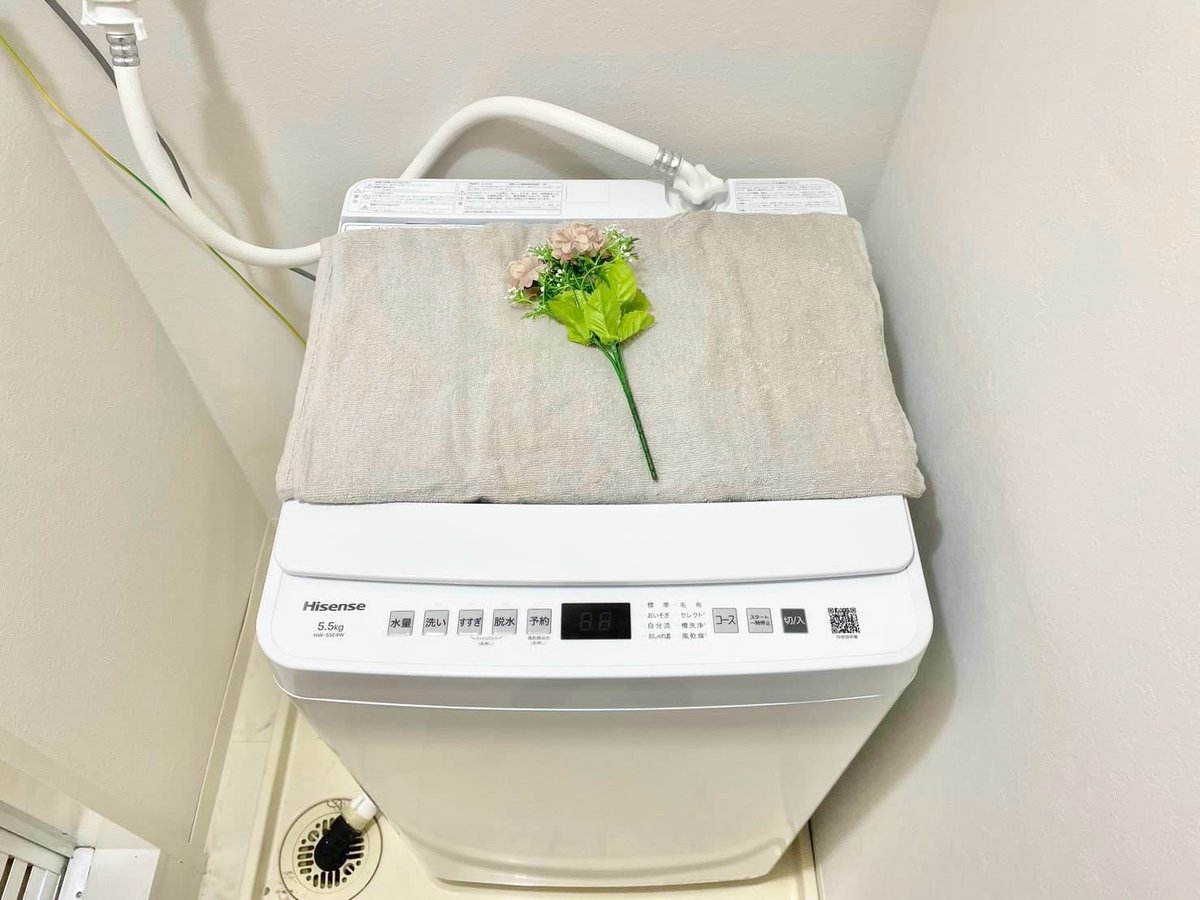 ※撮影用の観察植物・食器調理器具・雑貨類等はございません。※写真は現況優先