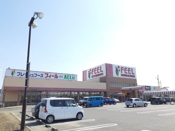フィール アエル店まで300m