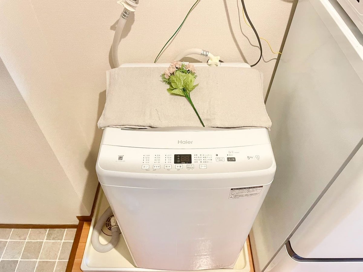 ※撮影用の観察植物・食器調理器具・雑貨類等はございません。※写真は現況優先