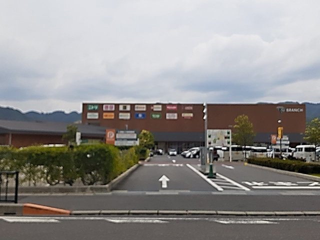 ブランチ大津京まで800m